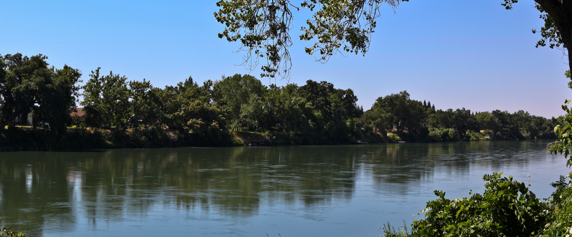 Healthy river
